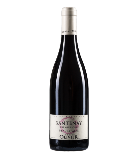 Domaine Antoine Olivier Santenay