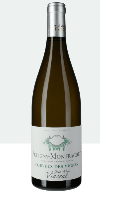 Jean Marc Vincent Puligny Montrachet 2023 Corvees des Vignes